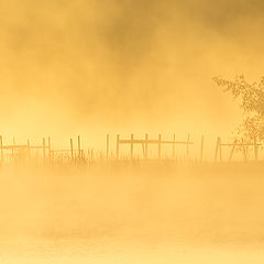 фото "озеро Отрадное"