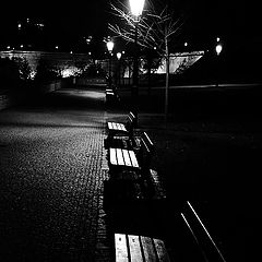 photo "Ночные фонари и cкамейки"