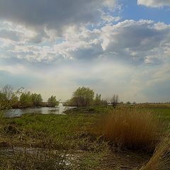 фото "Донской сюжет."