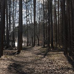 фото "в парке"