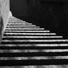 photo "Лестница, свет и тени"
