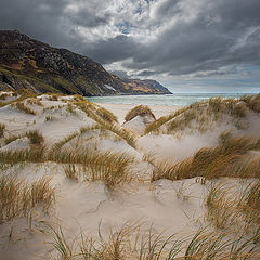 фото "Donegal's finest."