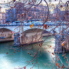 photo "Rome 5820"