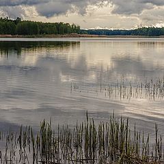 фото "Cпокойствие"