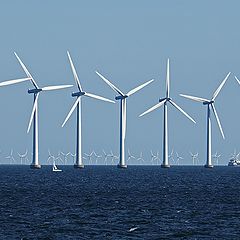 фото "The Danish Wall Of Wind Power"