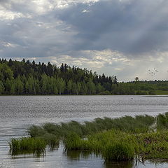 фото "Ветрено"