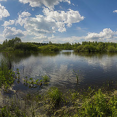 фото "Полноводный июнь"