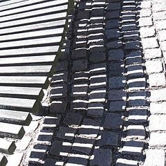 photo "Shadow"