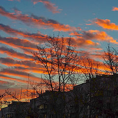 photo "Waves of the sky"