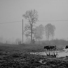 фото "Осеннее настроение"