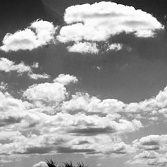 photo "clouds"