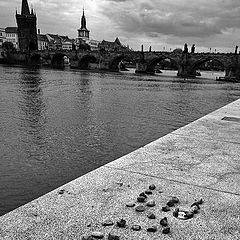 фото "Love Prague!"