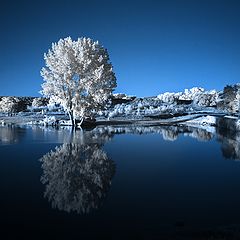 photo "INFRARED LAKE"