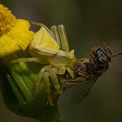 фото "Рабочий момент"