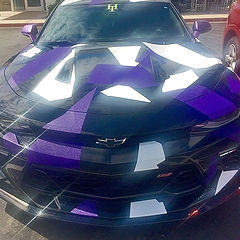 photo "Camaro Under Wraps"