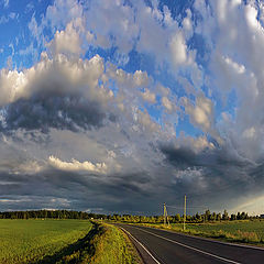 фото "Драконы летних дорог"