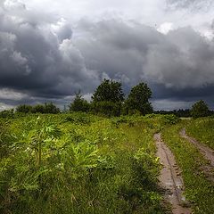 фото "Контрасты лета"