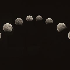 фото "частичное затмение полной Луны"