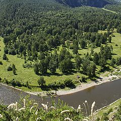 фото "Загогулины"