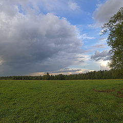 фото "Про рябину и облака"
