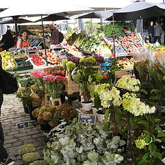 фото "Market"