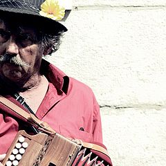 photo "street's musician"