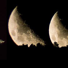 фото "Moon rising"