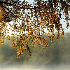 фото "В тумане утреннем"