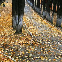 фото "Парк"