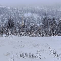 photo "Осеннее"