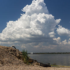 фото "Полдень"