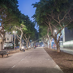 photo "Tel-Aviv 0324"