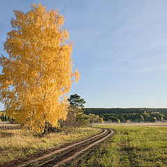 фото "Дорога в осень"