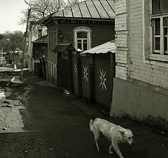 фото "хозяйка города"