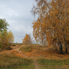 фото "Осенний мотив"