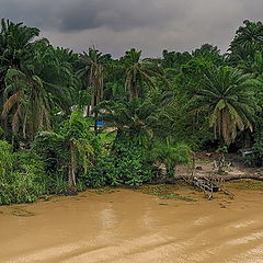 photo "Escravos river"