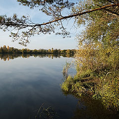 фото "Гладь"