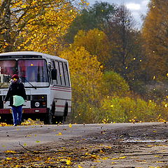 фото "Ельня"