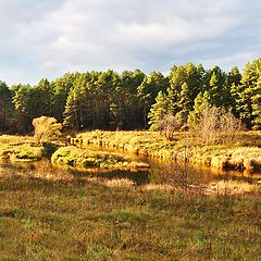 фото "Луч солнца золотой."