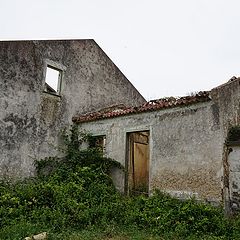 фото "Молочное небо."