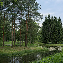 фото "Протока"