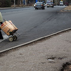 фото "Разнонаправленность"