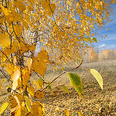 фото "Прощай, Осень!"