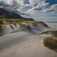 фото "Donegal"