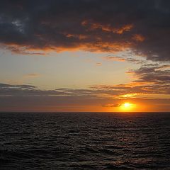 photo "Sunset in the ocean"