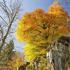 фото "Королева Осень..."