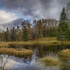 фото "Осенний фрагмент"