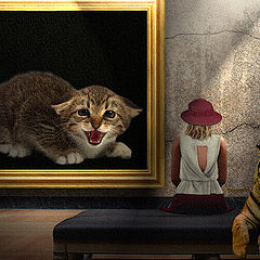 photo "Tigers in... gallery"