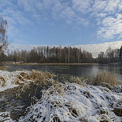 фото "Первый снег"