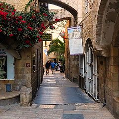 photo "In The Old City"